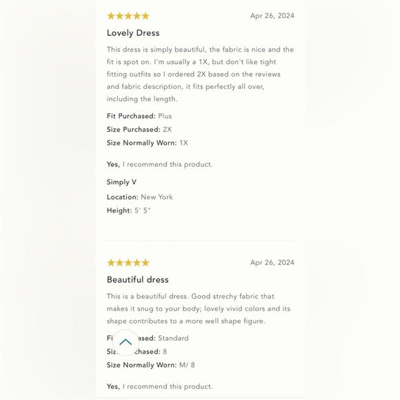 Anthropologie NWT THE CECILY FIT & FLARE SWEETHEART DRESS BY MAEVE size L - Picture 11 of 15